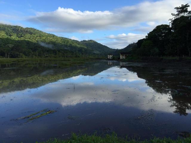 Fazenda - Sul da Bahia - Foto 5