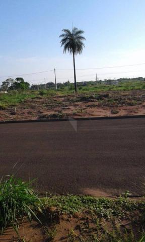 Terreno à venda, 252 m² por R$ 85.000 - Jardim Aeroporto - Presidente Epitácio/SP