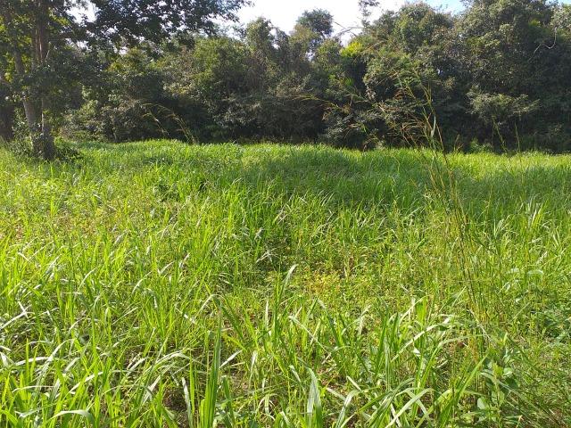 Sitio Dupla Aptidão - Foto 7