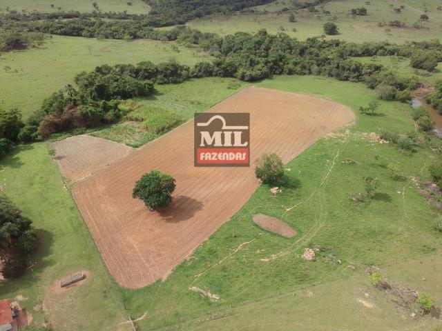 Vende ou troca por terra maior Chácara 5 Alqueires São Miguel do Passa Quatro-GO - Foto 5