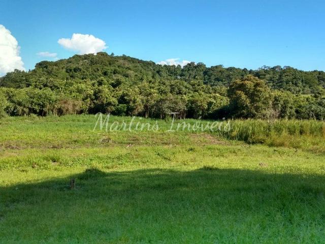Sítio na região rural de Cachoeiras de Macacu - Foto 15