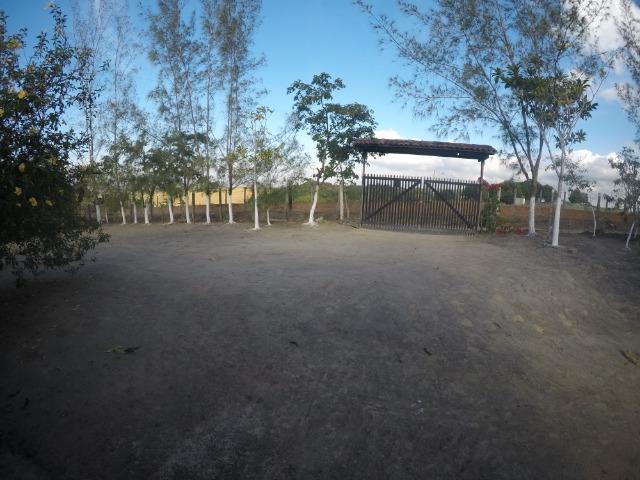 Sítio em Chã Grande PE - Foto 13