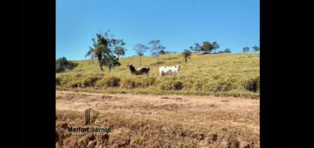 Fazenda em Morrinhos-Go - Foto 2