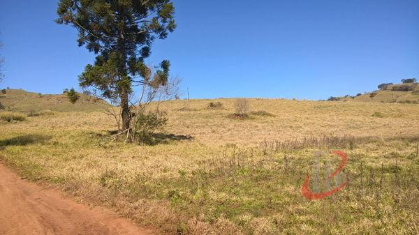 Rural fazenda com 4 quartos - Bairro Centro em Nova Tebas - Foto 17
