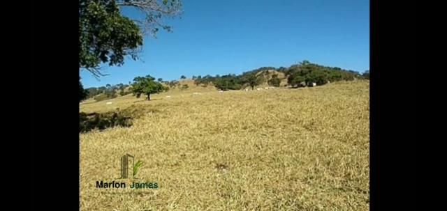 Fazenda em Morrinhos-Go - Foto 3