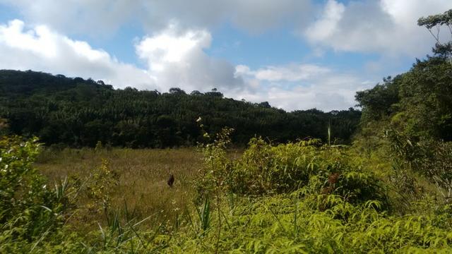Fazenda Com Nascentes, 800 m de rio e Mata Atlântica Preserevada - Foto 12
