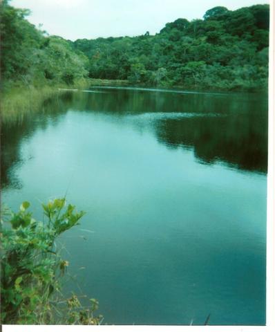 Fazenda Com Nascentes, 800 m de rio e Mata Atlântica Preserevada - Foto 8