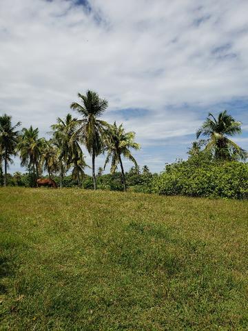 Terreno no Bairro Cearazinho - Luis Correia - PI - Foto 6