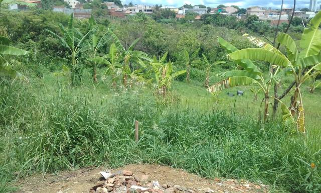 Venda - Foto 4
