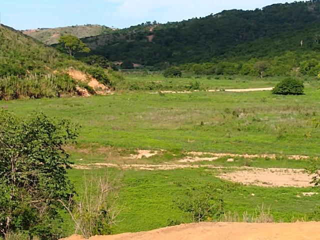 Fazenda 350 alqueires gov Valadares /MG 47 mil por alqueire - Foto 5