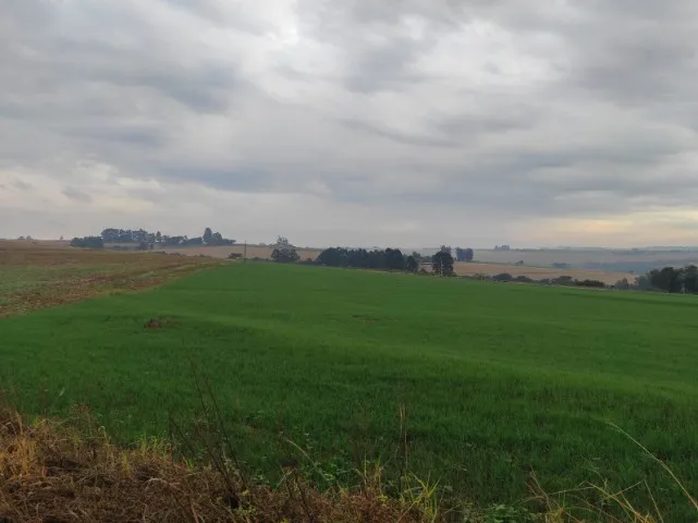 Chácara em Cascavel