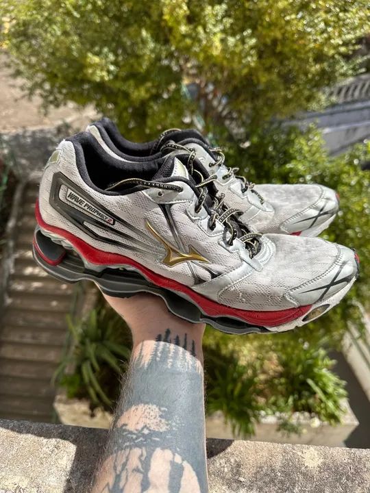 Mizuno wave prophecy 2 