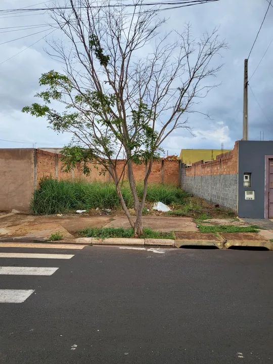 foto - Ribeirão Preto - Jardim Cristo Redentor