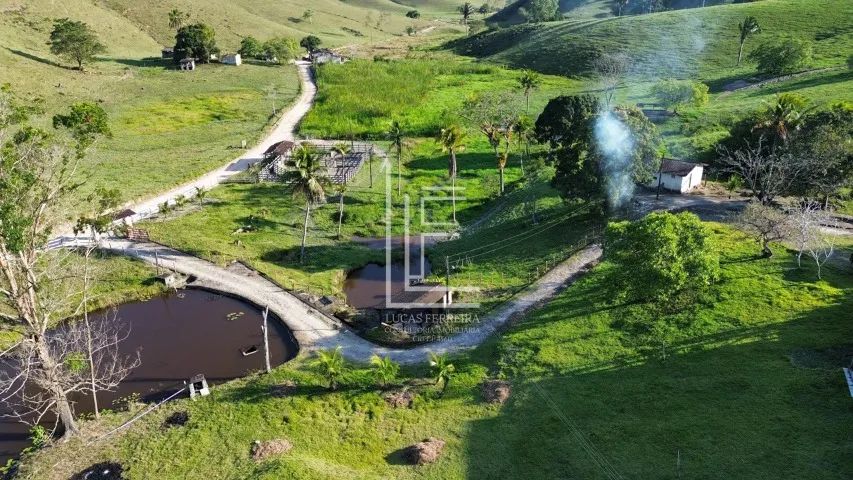 Belíssima fazenda de 153 hectares em São Luís do Quitunde-AL - Fazenda Vale Verde - Foto 2