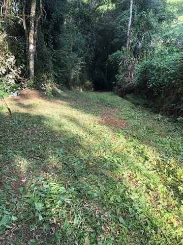 Excelente terreno em Piedade - Foto 4