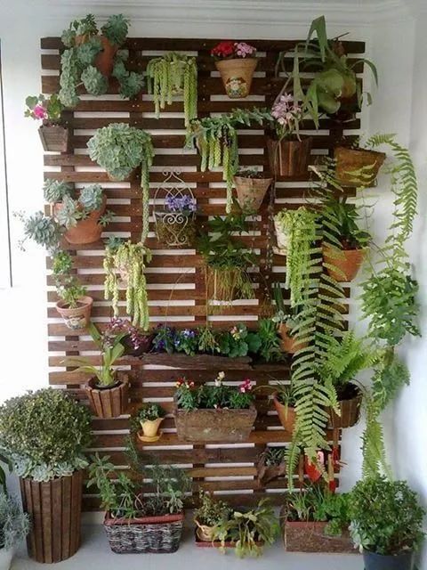 Jardim Verical, horizontal  e horta - Foto 2