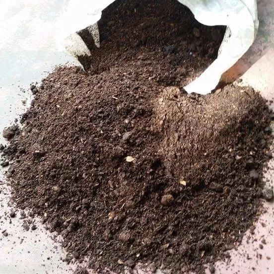 Esterco de gado - Jardim Ingá