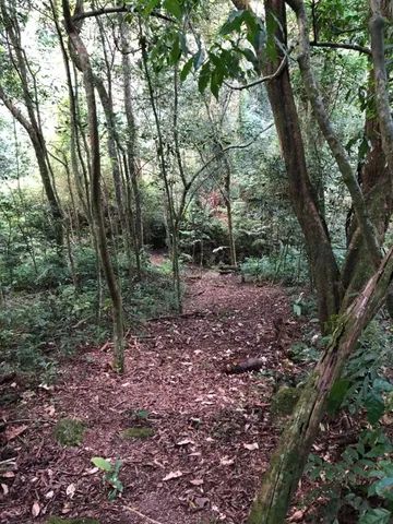 Excelente terreno em Piedade - Foto 6