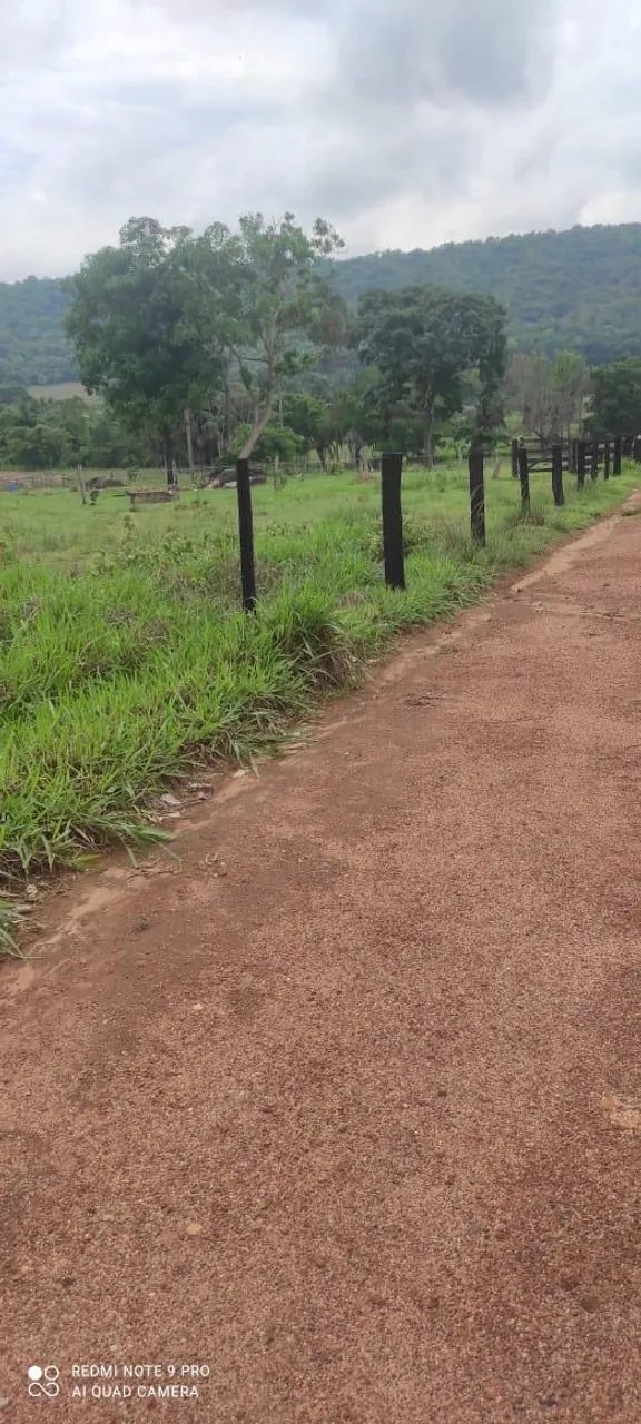 Faz 61. 5 Alq  45 Alq de Pasto próx Paraíso Do Tocantins  - Foto 5