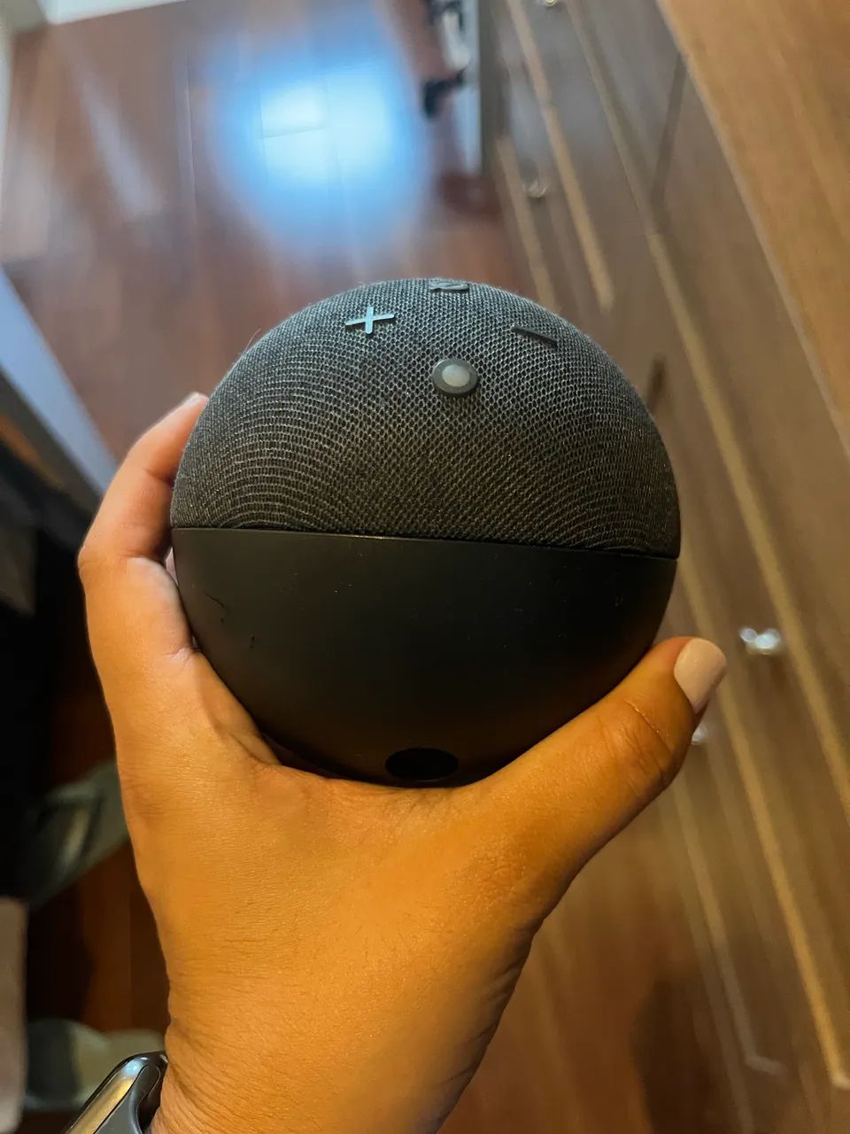 Alexa EchoDot