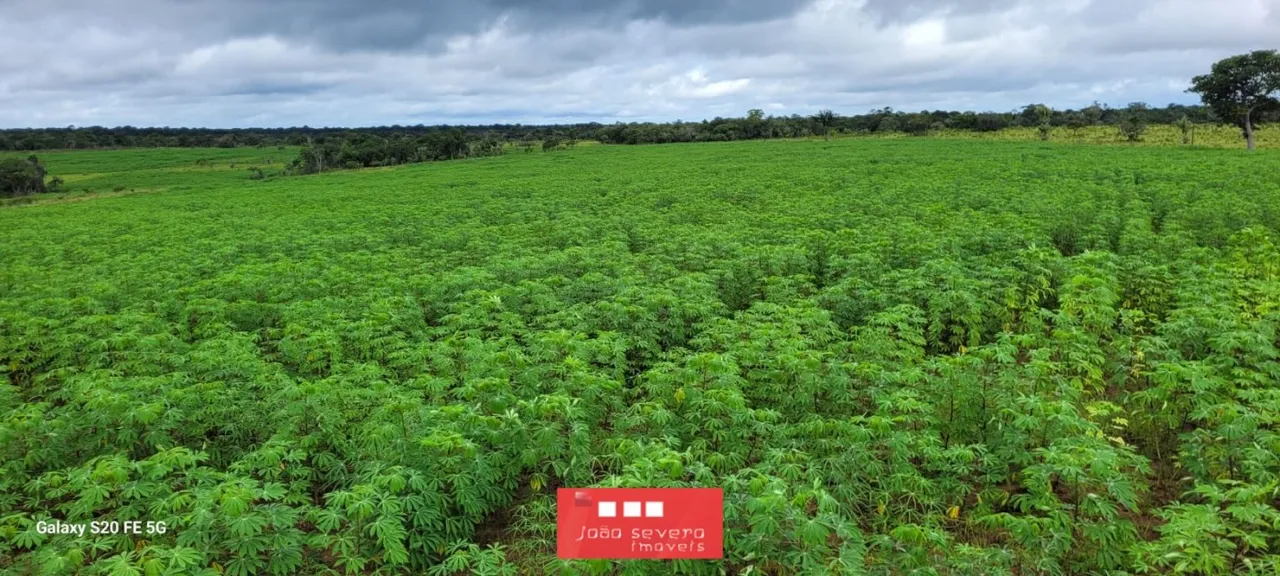 Fazenda para Venda em Cutias