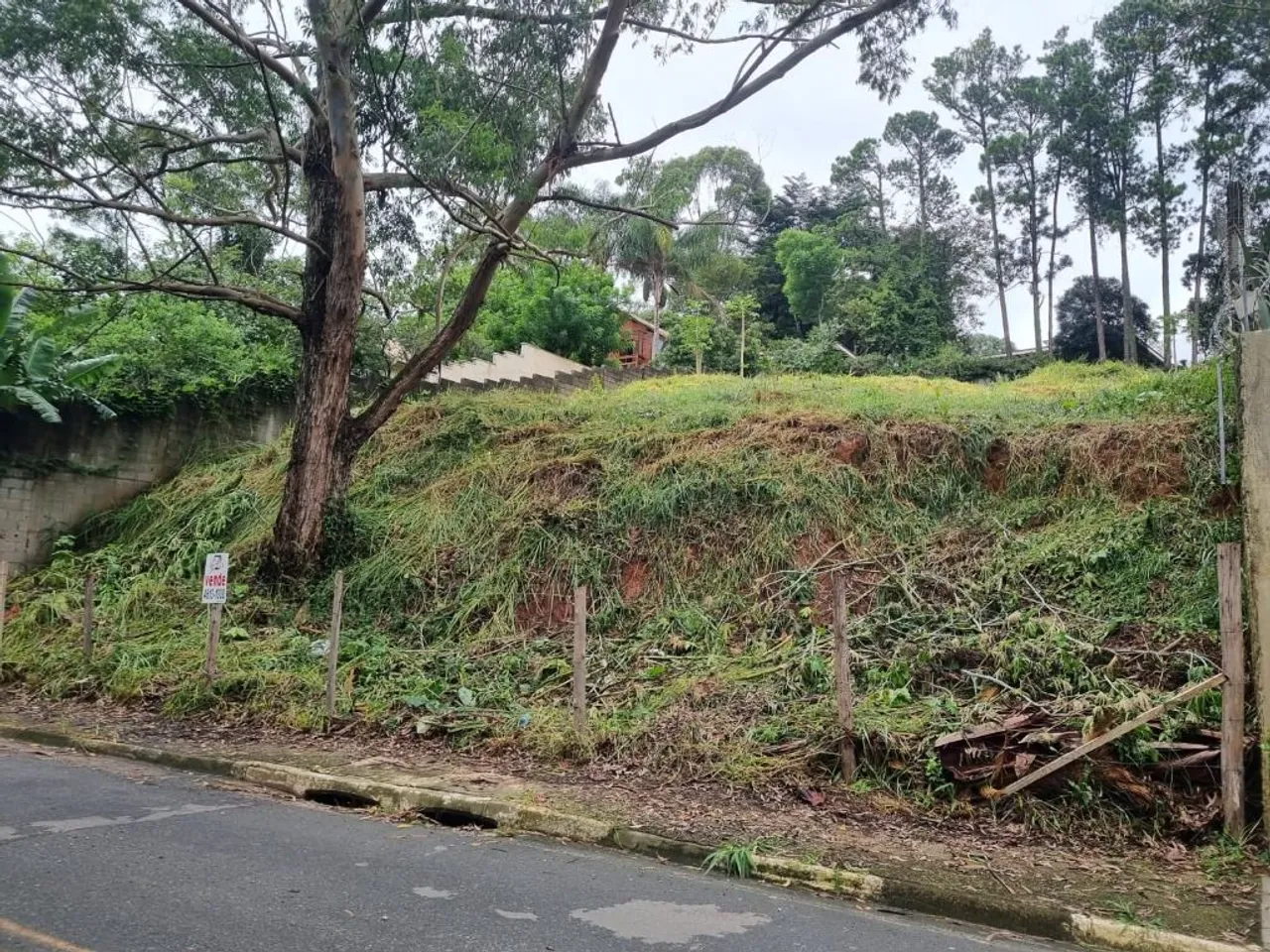 Granja Viana, comercial