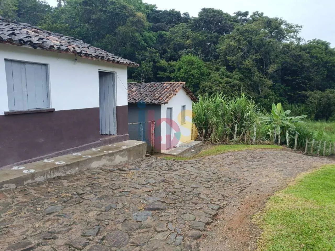 Fazenda de Cacau Itajuipe - Foto 2
