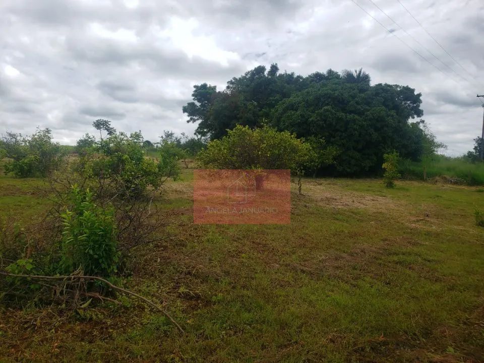 Excelente oportunidade CHÁCARA - Foto 5