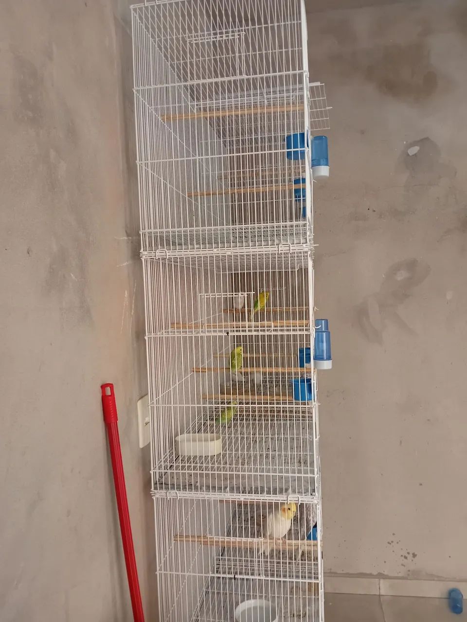 Vendo conjunto de gaiolas criadeiras (gaiopar) - Foto 4