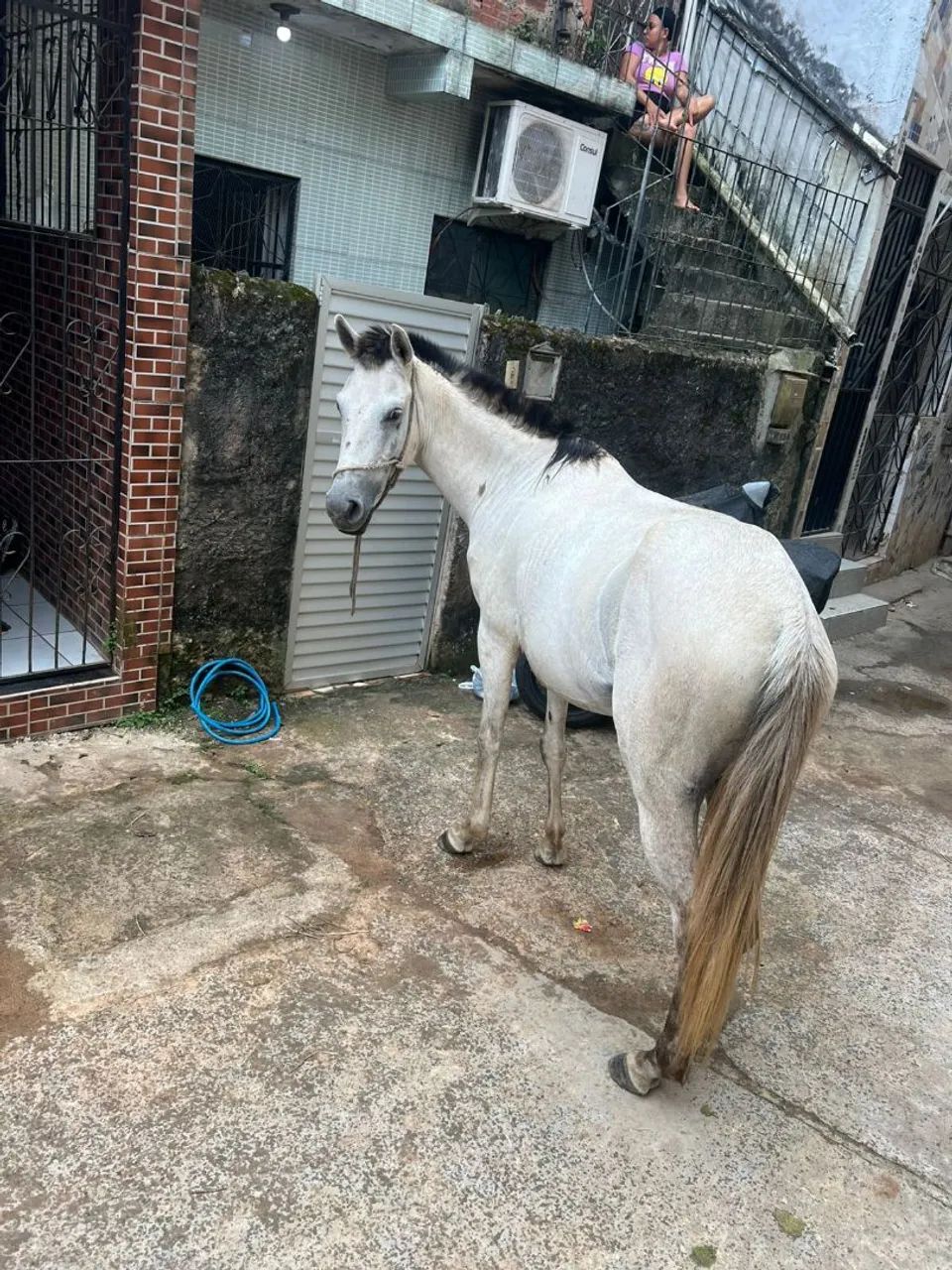 PORDA DE SEGUNDA MUDA: PARA VENDER. - Foto 2