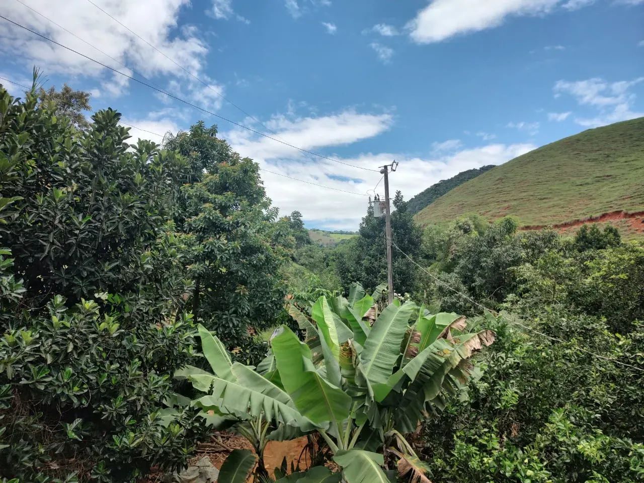 Sítio em Pedra Mulata, Viana. - Foto 15