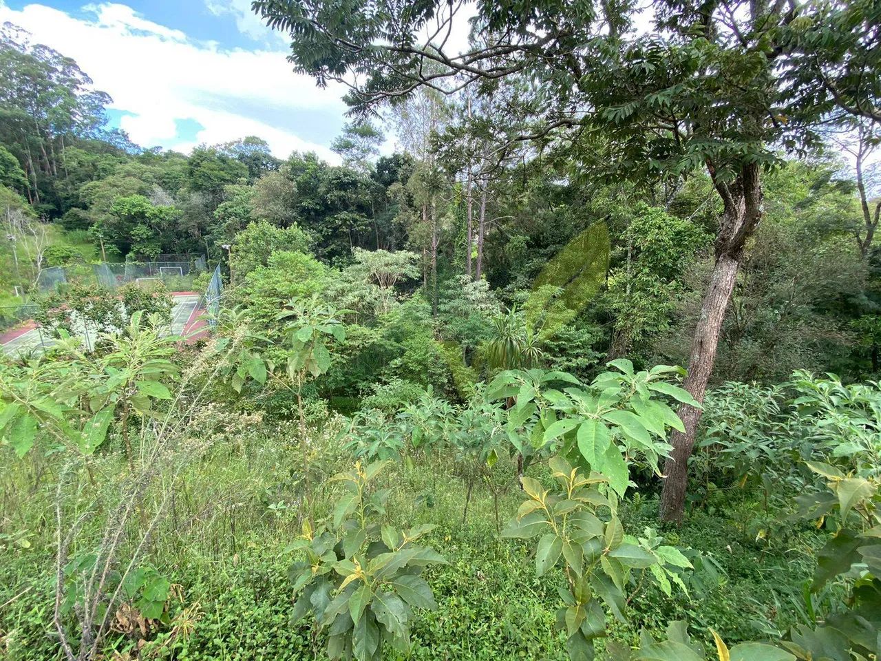 Terreno com 5.800m à venda em Atibaia condomínio Fechado - Foto 4