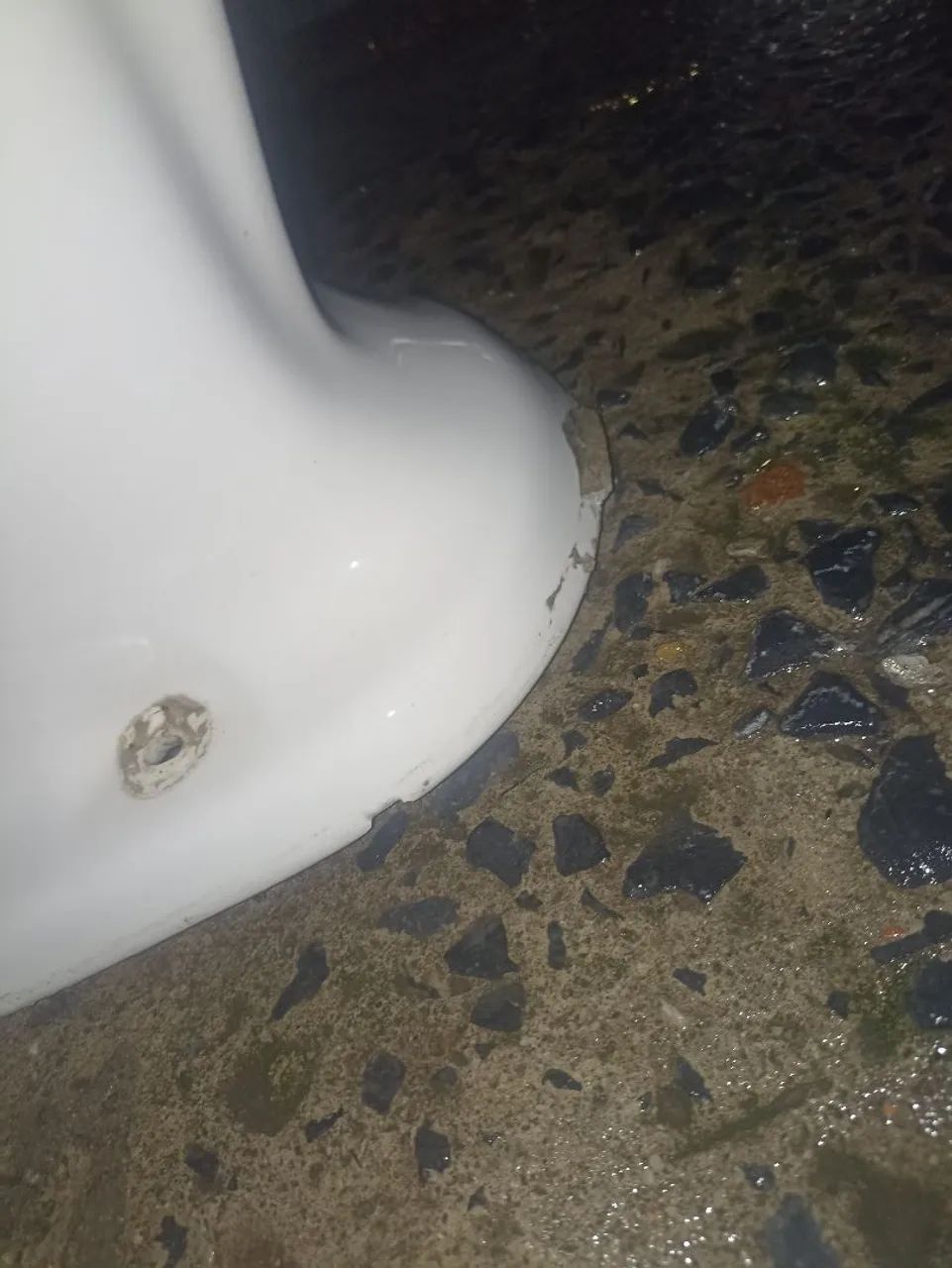 Incepa Toilet64628980036737121