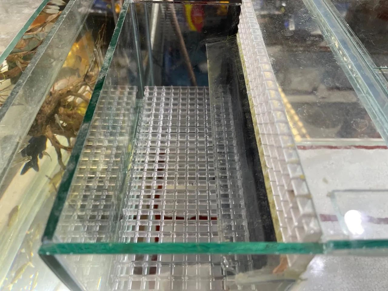 Aquário de vidro com sump 80x40x35 - Foto 3