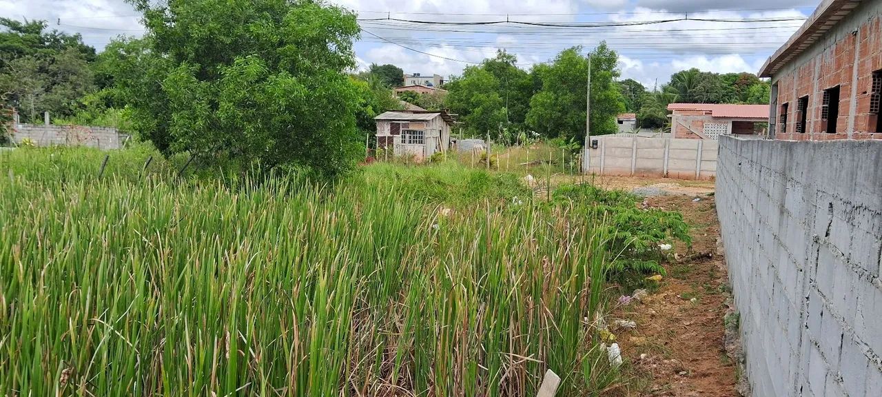 TERRENO VENDO OU TROCO POR CARRO VALOR ATE R$ 30.000,00 - Foto 14