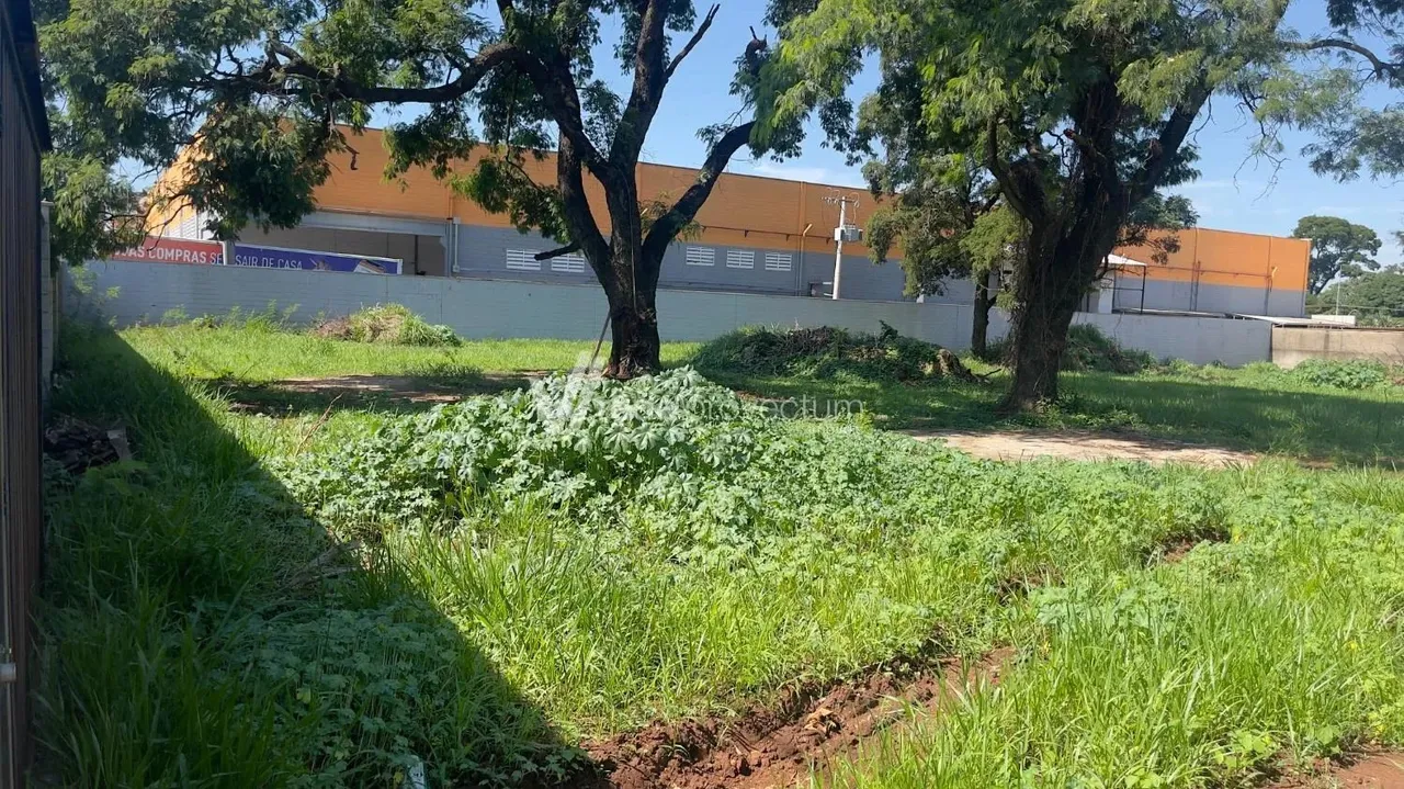 terreno - Santa Terezinha - Paulínia