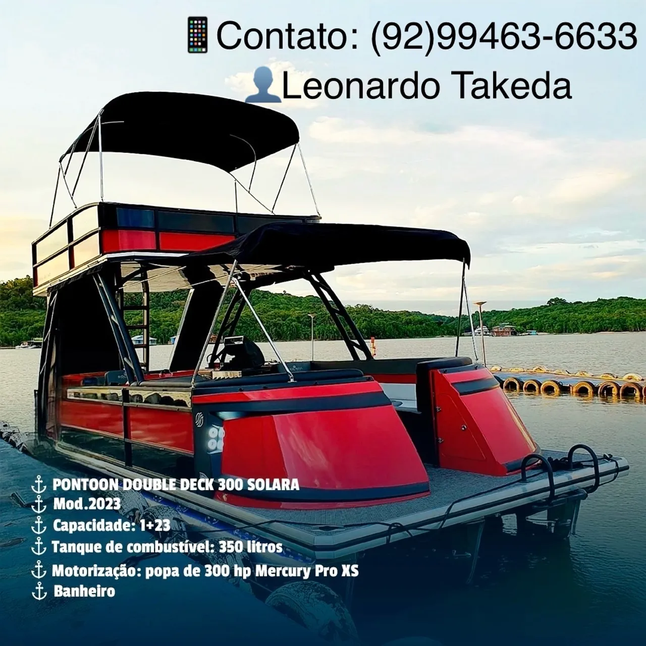 Lancha Pontoon double deck 300 solaria