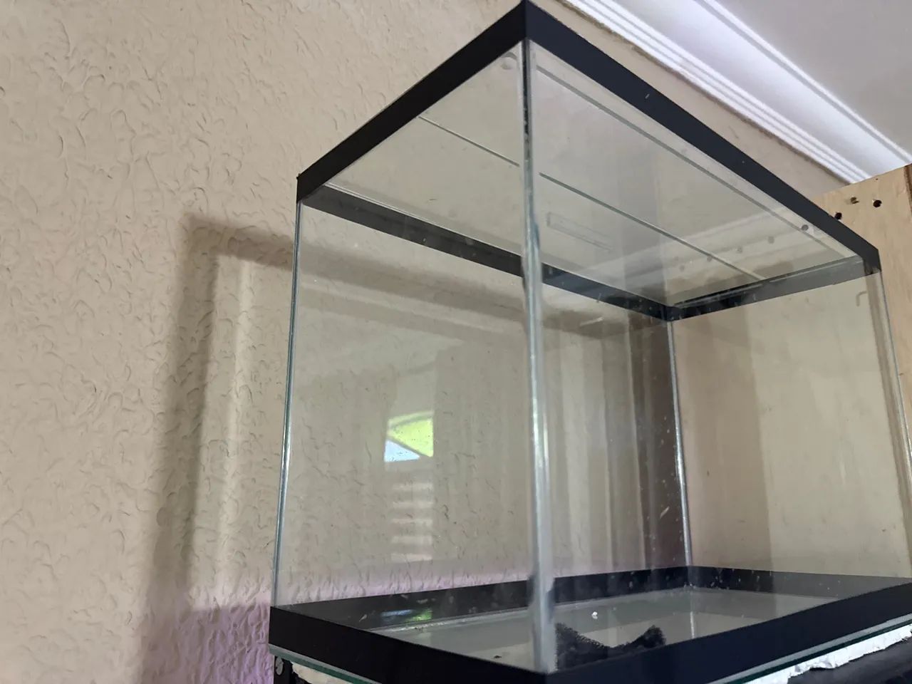 Aquario - Foto 2
