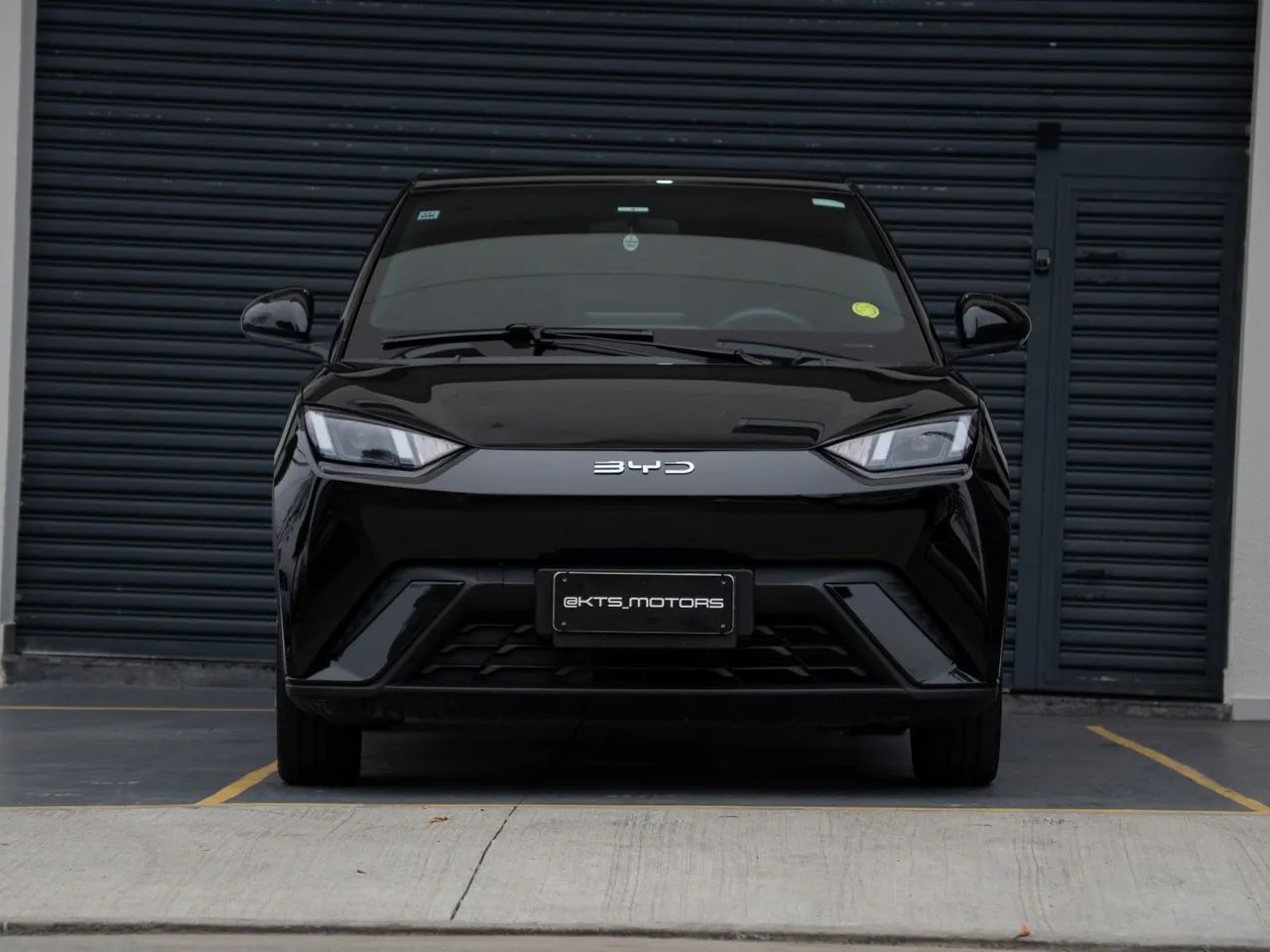 BYD Dolphin 2024