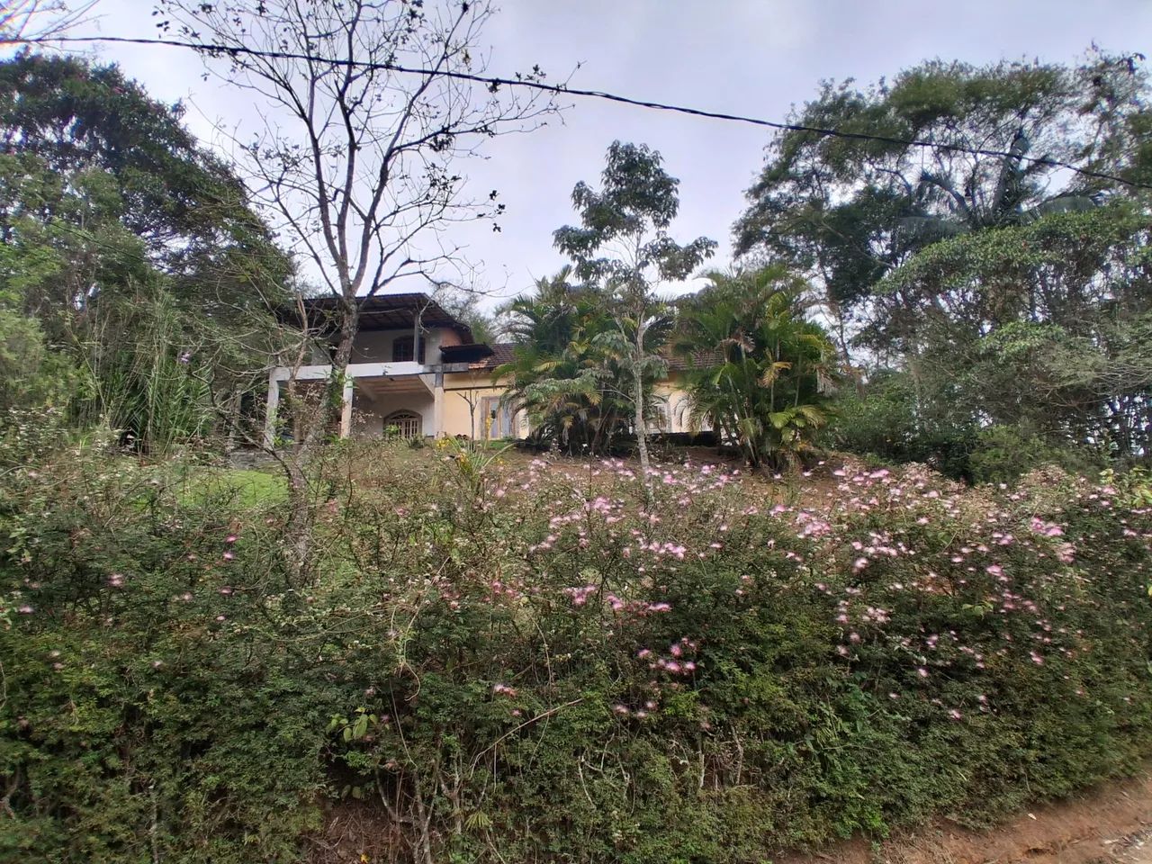 Terreno de 5.800 m2; Lumiar NF. - Foto 3