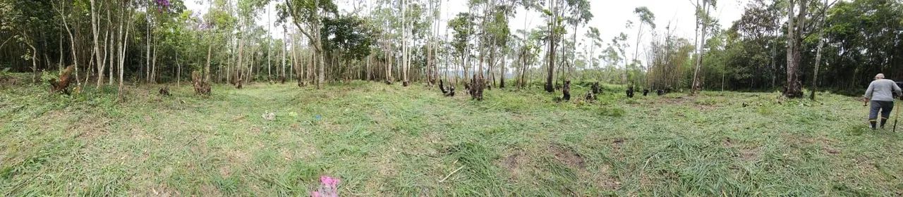 Sitios documentados em Taiaçupeba Mogi das Cruzes  - Foto 2