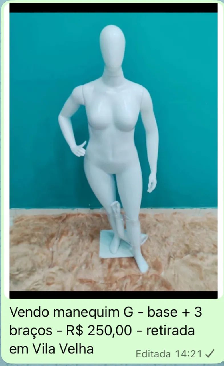 Vendo Manequim Plus Size - pouco usado - completo