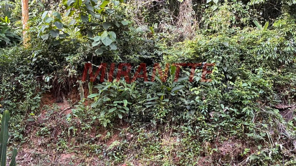 Terreno em Serra da Cantareira - Foto 4
