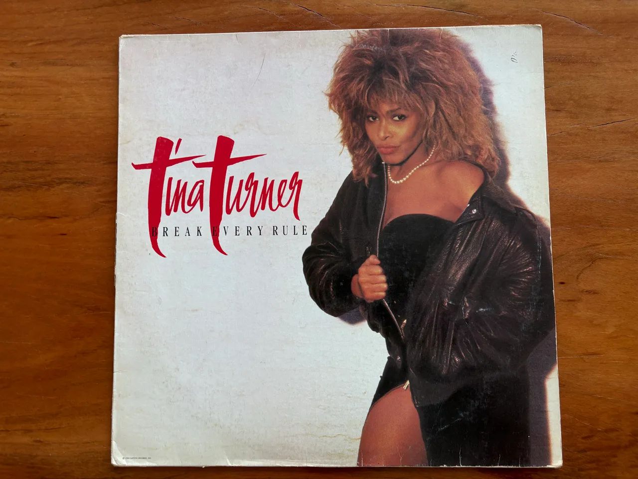 2 discos de vinil das cantoras Tina Turner e Donna Summer