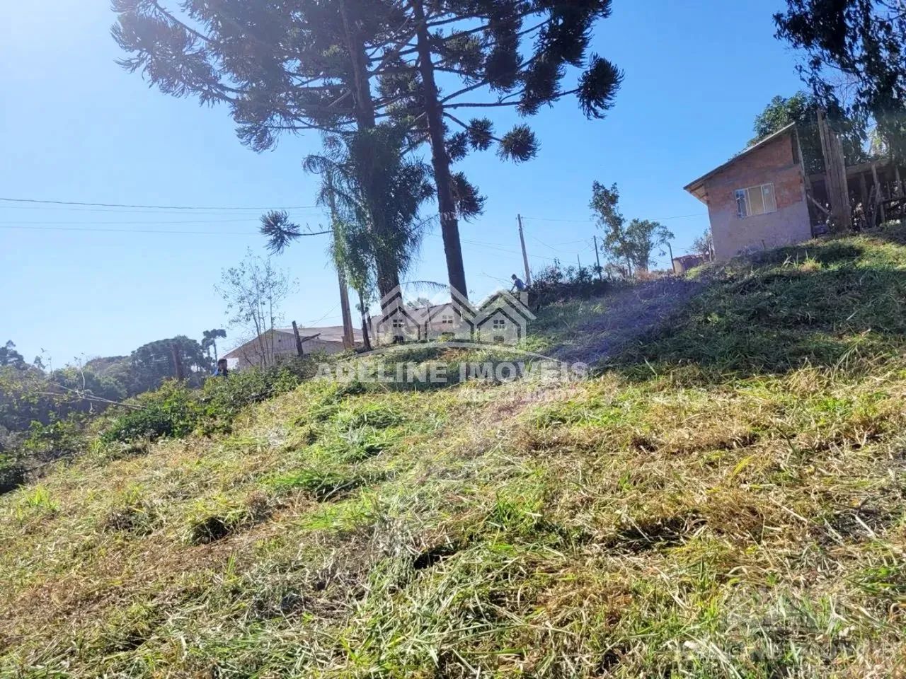 Terreno Catanduva Carambeí - Foto 2