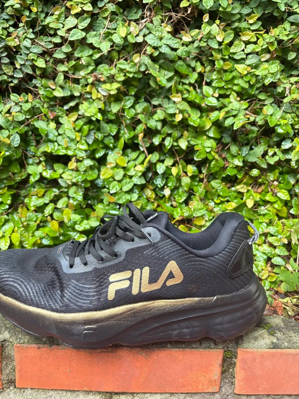 Lindo tênis fila 