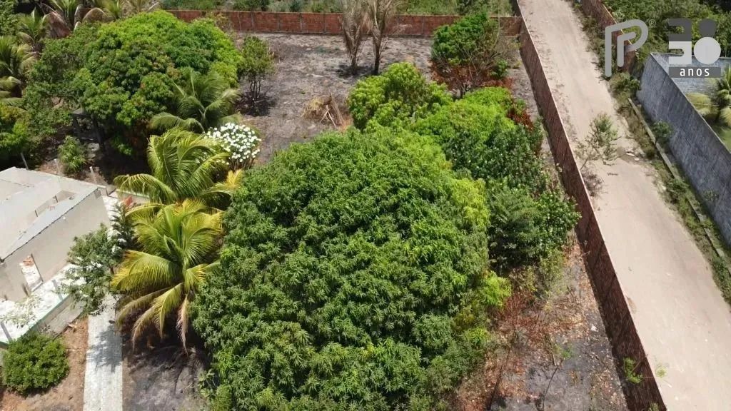 Área à venda, 2800 m² por R$ 700.000,00 - Araçagy - São José de Ribamar/MA - Foto 2