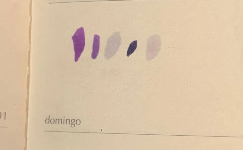 COPIC + LE PLUME - TONS DE ROXO - 5 CANETAS - Foto 2