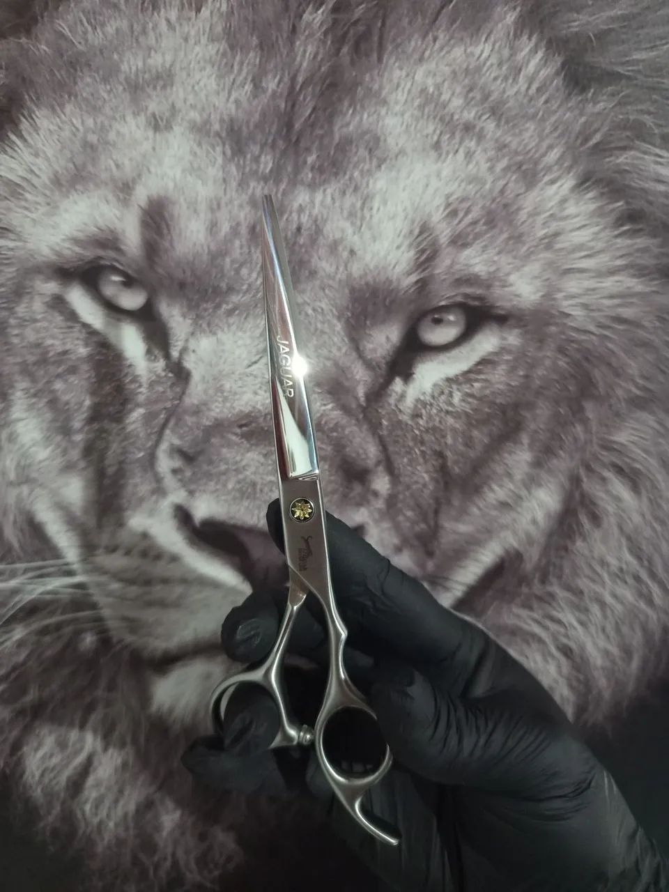 Jaguar Silver Line Professional Hair Scissors