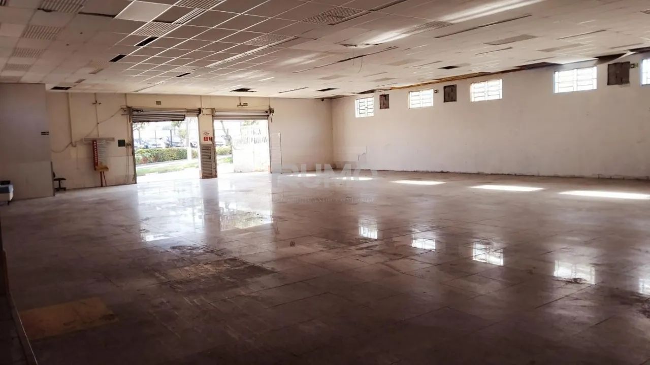 barracão - Jardim Conceição - Campinas - Foto 4